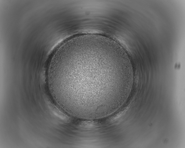 X0000090460351200707201338