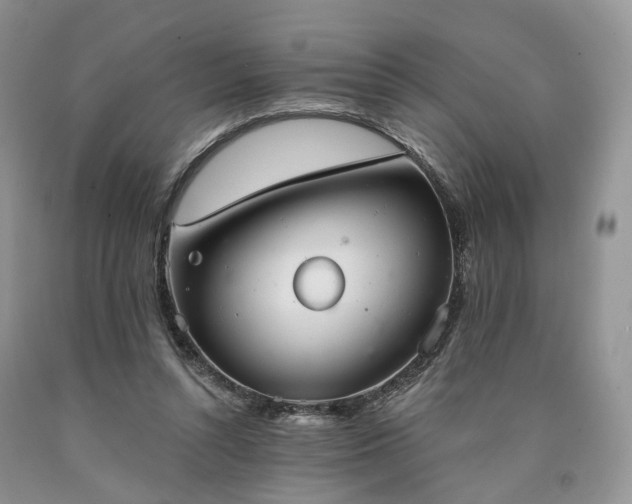 X0000090460352200707201338