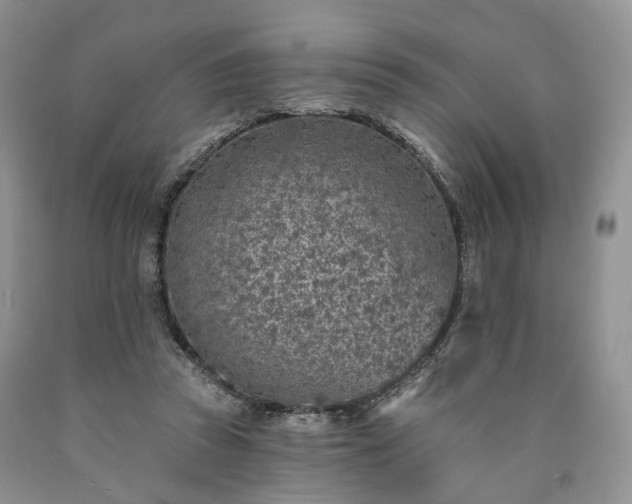 X0000090460353200707201338