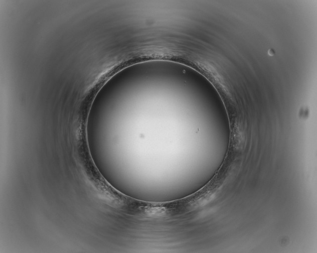 X0000090460355200707201338