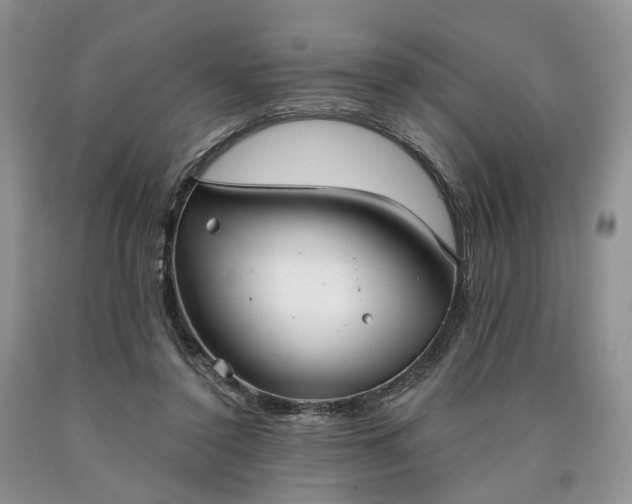 X0000090460356200707201338