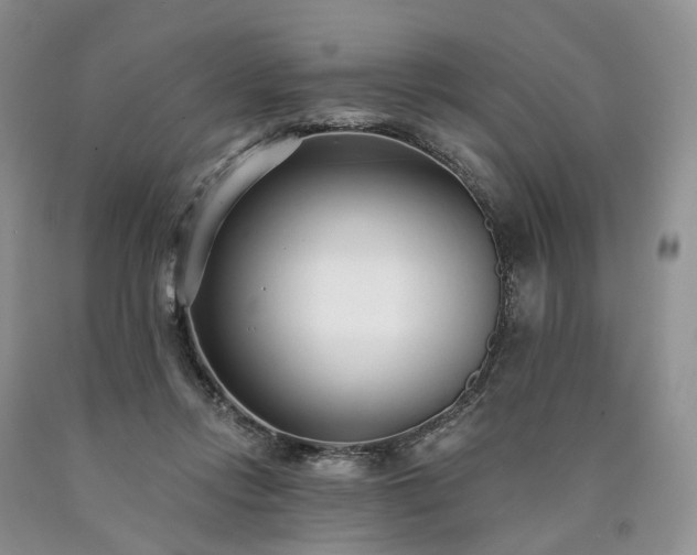 X0000090460358200707201339