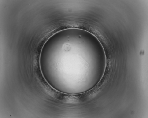 X0000090460359200707201339