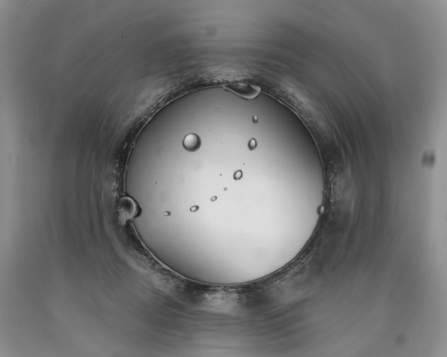 X0000090460362200707201339
