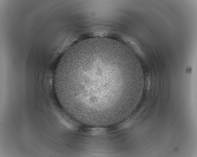 X0000090460363200707201339