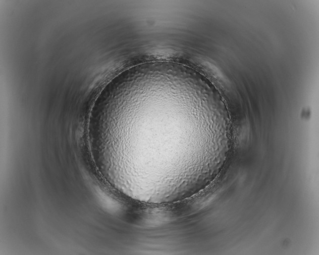 X0000090460365200707201339