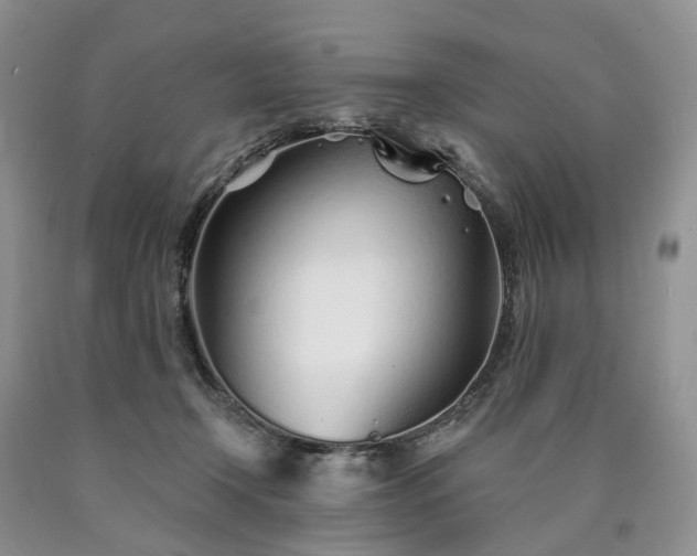 X0000090460366200707201339