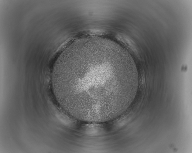X0000090460367200707201339