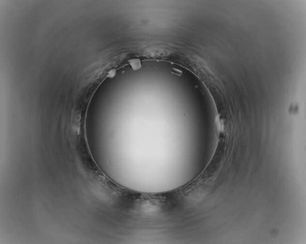 X0000090460368200707201339