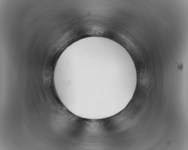 X0000090460370200707201339