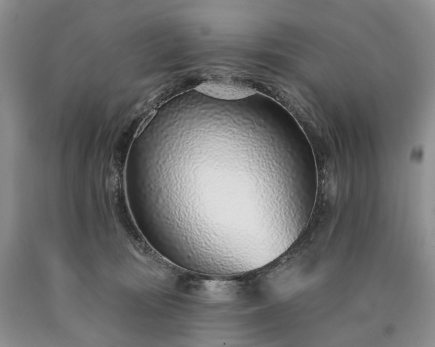 X0000090460371200707201339