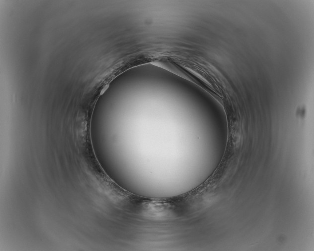 X0000090460372200707201339