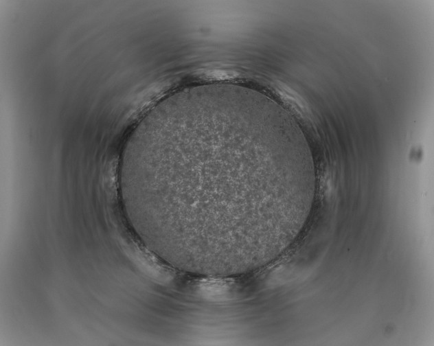 X0000090460373200707201339