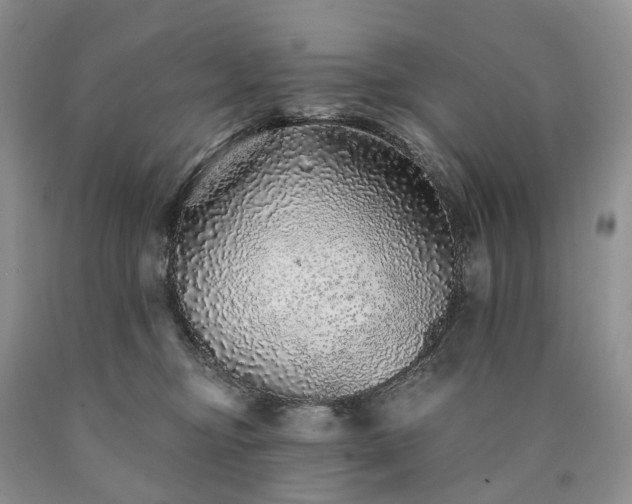 X0000090460374200707201339