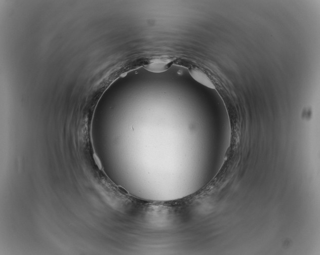X0000090460376200707201339