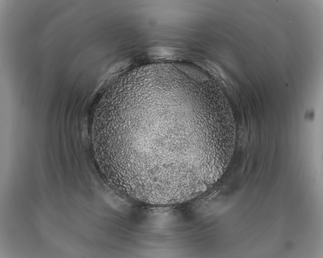 X0000090460377200707201339