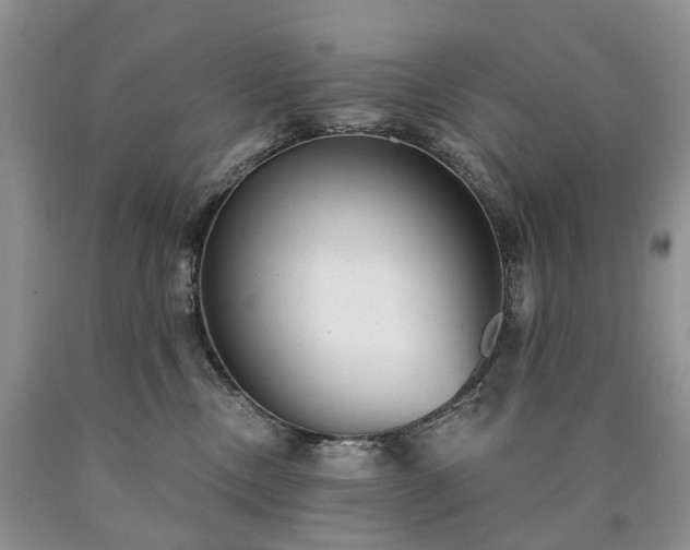 X0000090460378200707201339