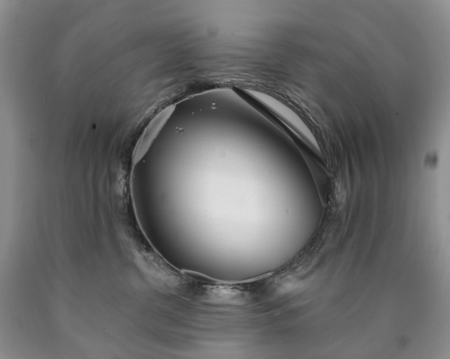 X0000090460380200707201339