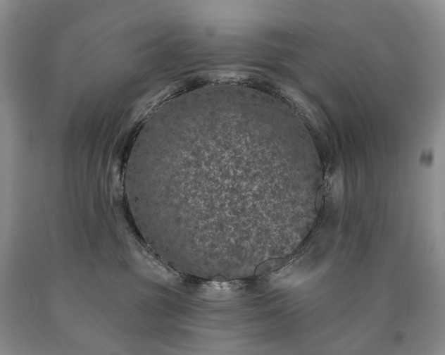 X0000090460381200707201339