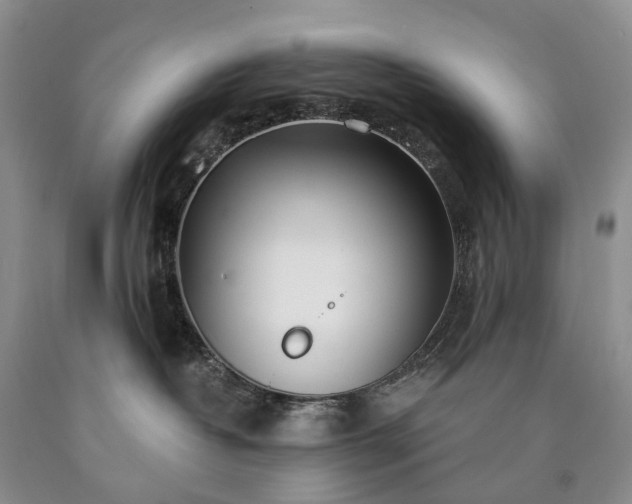 X0000090460382200707201339