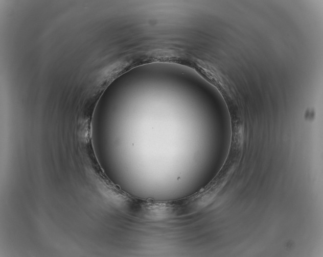 X0000090460383200707201339