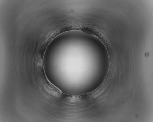 X0000090460384200707201339