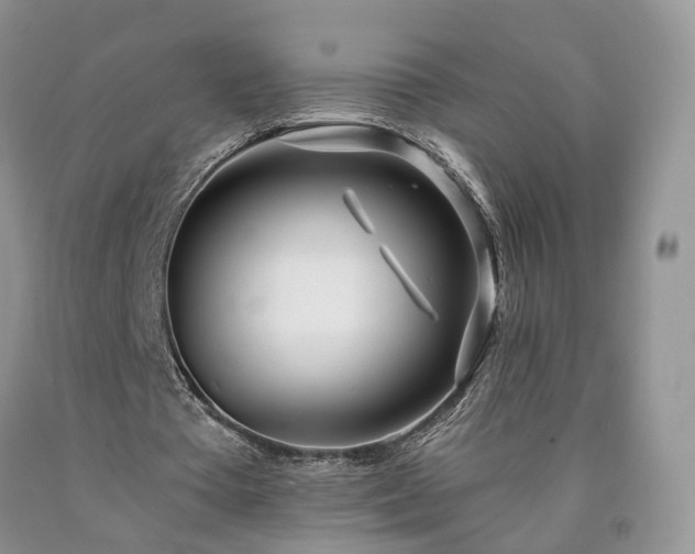 X0000090460385200707201338