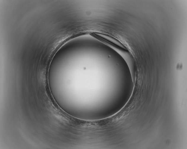 X0000090460386200707201338