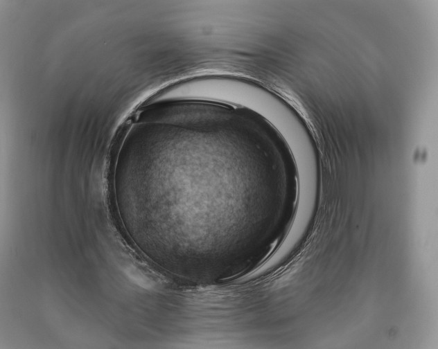 X0000090460387200707201338