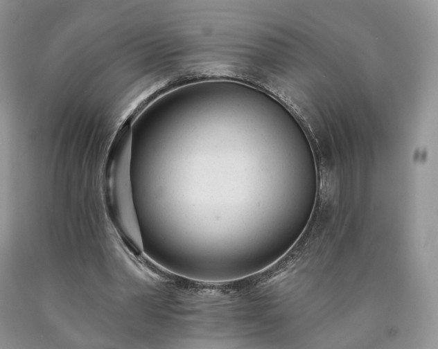 X0000090460390200707201338