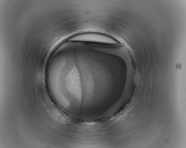 X0000090460391200707201338