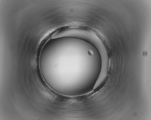 X0000090460392200707201338