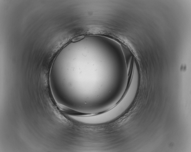 X0000090460393200707201338