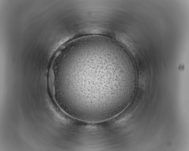 X0000090460394200707201338