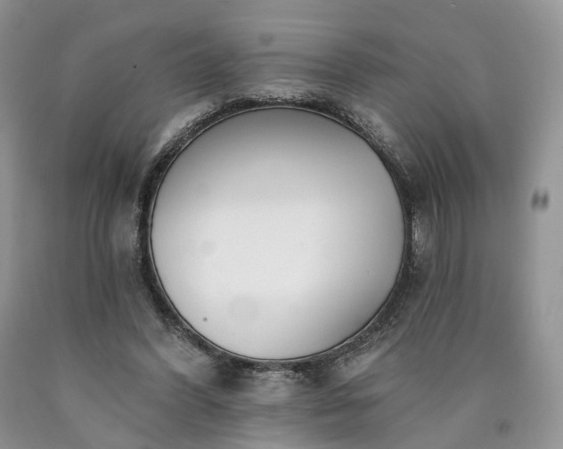 X0000090460396200707201338