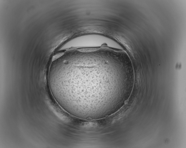 X0000090460398200707201338