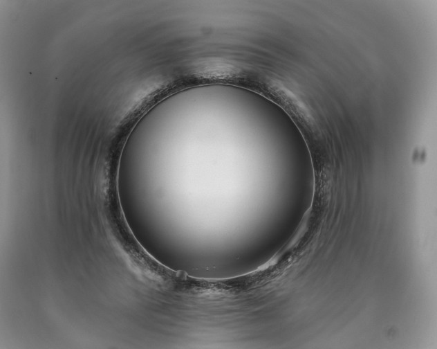 X0000090460400200707201338