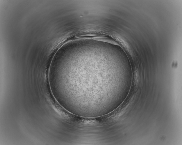 X0000090460401200707201338