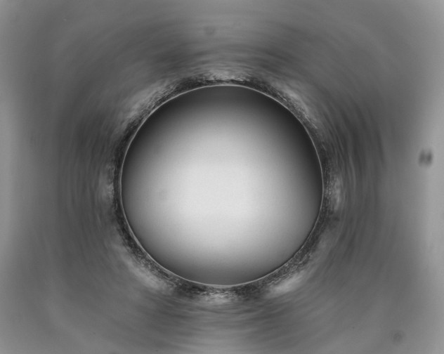 X0000090460402200707201338