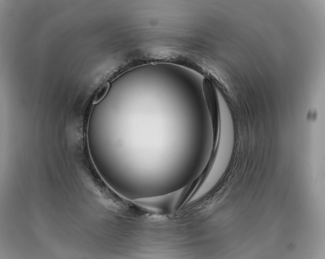 X0000090460407200707201338