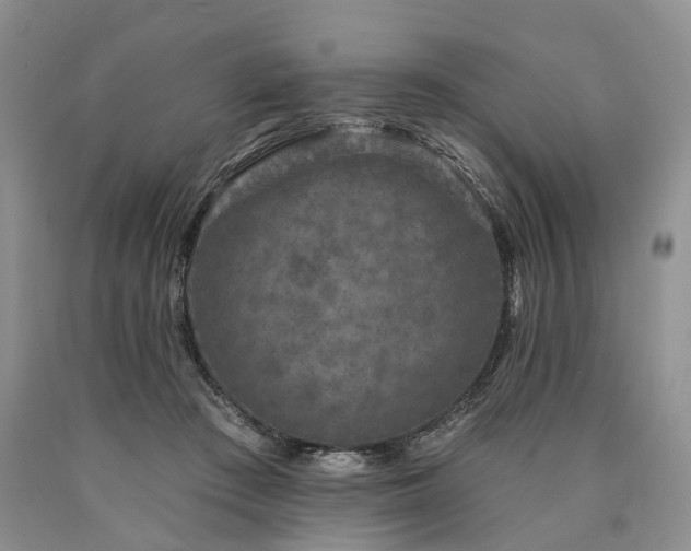 X0000090460409200707201338