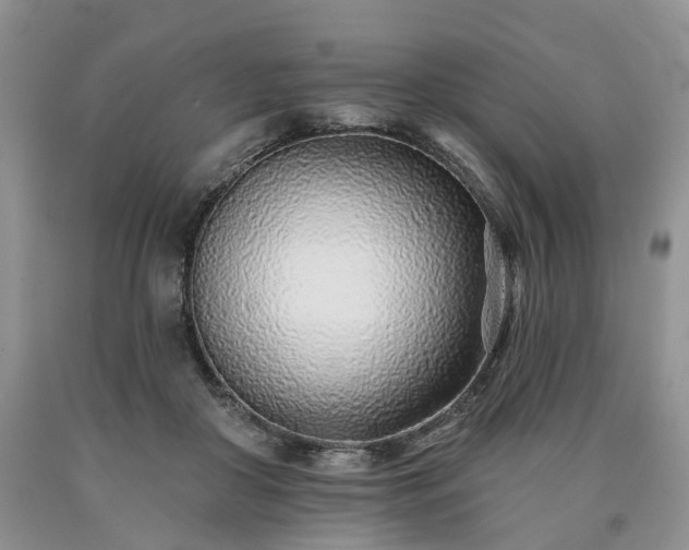 X0000090460410200707201338