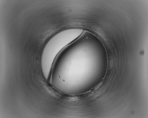 X0000090460411200707201338