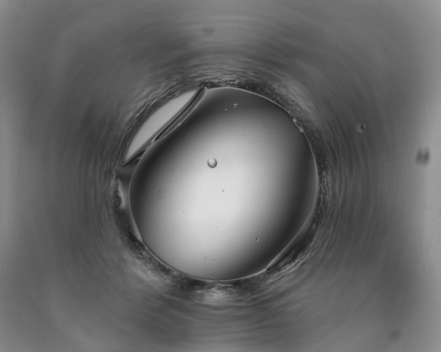 X0000090460412200707201338