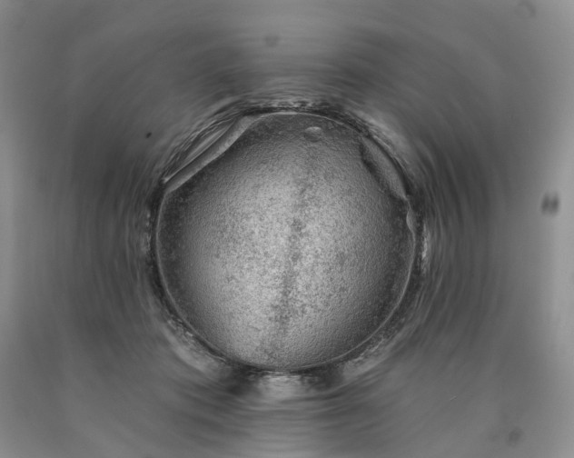X0000090460413200707201338