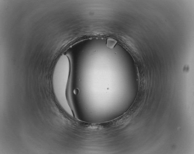 X0000090460415200707201338