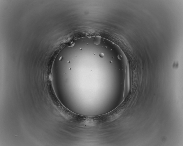 X0000090460416200707201338