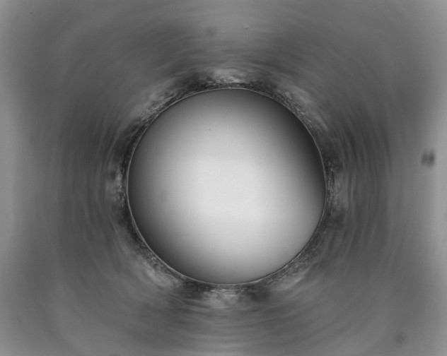 X0000090460418200707201338