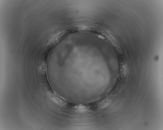 X0000090460419200707201338