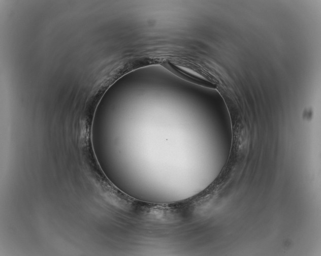 X0000090460420200707201338